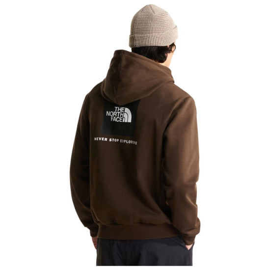 The North Face Ανδρικό φούτερ Evolution Box NSE Regular Hoodie